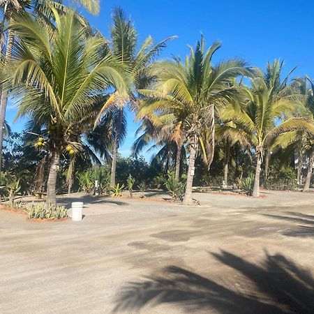 Bungalows Laguna Del Tule San Patricio Melaque Exterior foto