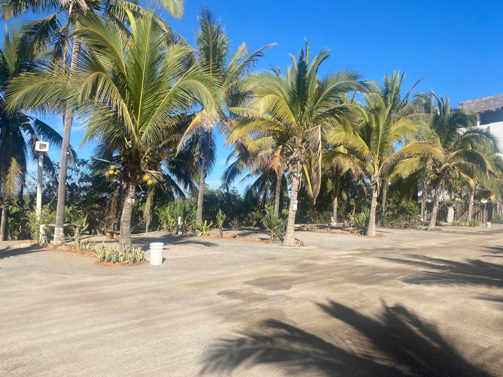 Bungalows Laguna Del Tule San Patricio Melaque Exterior foto